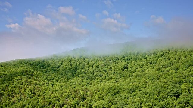 Aerial drone view of dense mist over the Smoky Mountains, North Carolina.