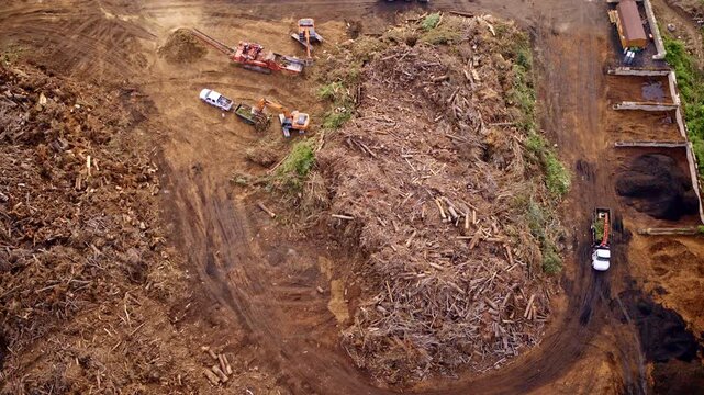 High-altitude shot capturing piles of driftwood on the riverbank following recent floods in Asheville.