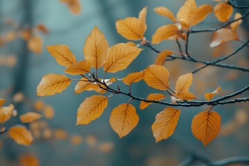 Autumn leaves display vibrant colors against a misty forest background