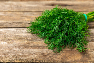 Dill on wooden background. Fresh organic greens. Dill plantation. Cut dill leaves. Bunch of spring young dill. Vitamins. Fiber. Aromatic culinary spice. Place for text. Copy space
