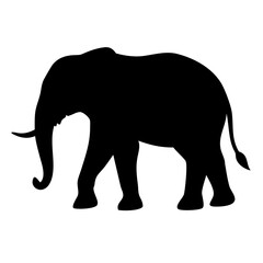 elephant silhouette isolated on white