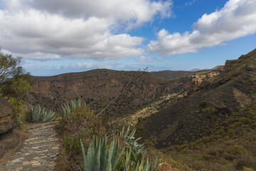 Caldera de Bandama Gran Canaria Spain - nature reserve after volcanic eruption