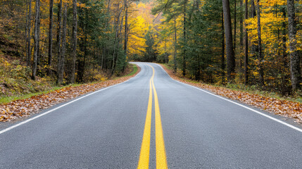Fototapeta premium Winding country road surrounded by vibrant autumn trees and fallen leaves creates serene