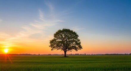 Majestic Oak at Sunrise over Lush Green Field