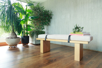 Minimalist wooden bench with cushion, indoor potted plants, and decorative books in bright natural...