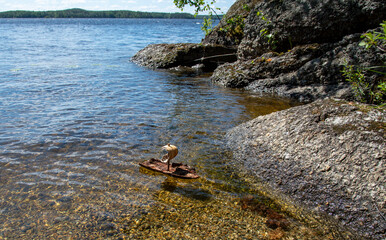 Bark boat on the lake Saimaa in Finland