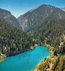 Sunlit Kaindy Lake with submerged trees surrounded by green forest and Tian Shan mountains in...