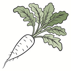 Whimsical Illustration of a Fresh White Radish with Vibrant Green Leaves - Perfect for Healthy Eating and Gardening Concepts