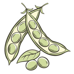 Fototapeta premium Soybeans Still Life Vector Art of Healthy Food Ingredient for Cooking