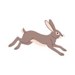 Flat illustration of a running rabbit in motion, shown in side view. Features long ears, brown fur with a light underbelly, and dynamic pose. Ideal for childrens books, wildlife themes, and nature