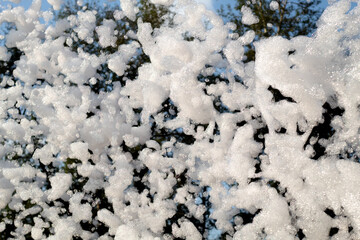 texture of snow