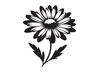 daisy flower logo silhouette vector, daisy flower silhouette vector illustration, beautiful daisy flower silhouette, daisy flower logo silhouettes vector on white background