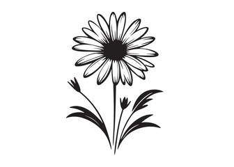 daisy flower logo silhouette vector, daisy flower silhouette vector illustration, beautiful daisy flower silhouette, daisy flower logo silhouettes vector on white background