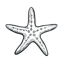 Detailed illustration of a starfish for marine themes and designs