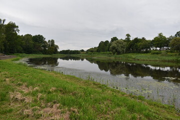 Tranquil river reflecting clouds and trees in a lush landscape  