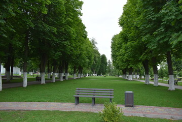 Lush green park with benches and trees under cloudy sky  