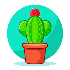 cactus in a pot