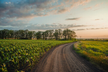 A gentle curving dirt road separates two vibrant green fields, leading towards a tree line in the...