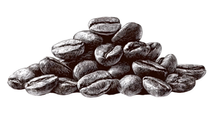 Sketch-style illustration of coffee beans pile isolated on white