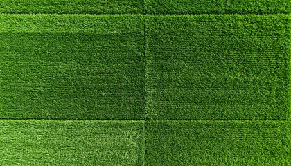 Fotografía aérea de un tapiz de césped natural. La foto se toma desde una altura media, mostrando la textura uniforme y el color verde vibrante de la hierba.