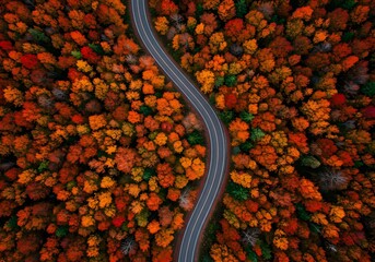  Spectacular overhead shot of curving mountain road through vibrant autumn forest with intense orange and red fall foliage creating dramatic natural landscape imagery.