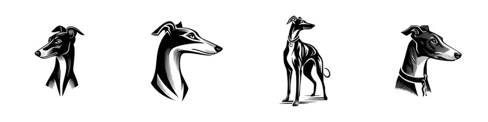 Obraz premium Elegant illustrations of greyhounds showcasing their grace and beauty in various poses and styles