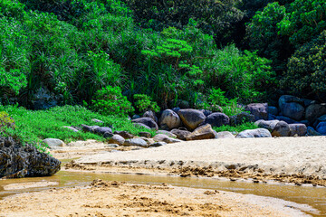  小川が流れる砂浜と熱帯植物に囲まれた石垣島の浜辺