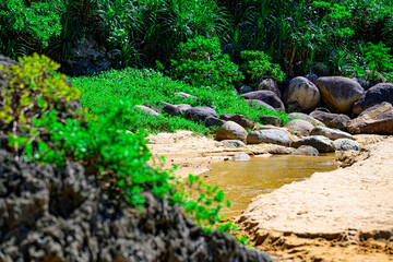  小川が流れる砂浜と熱帯植物に囲まれた石垣島の浜辺