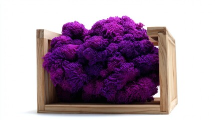 Crate filled with bright purple dried flowers in rustic style for botanical arrangement