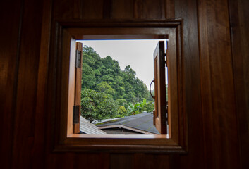 Nature at Mae Kampong, Chiang Mai during the rainy season: trees, streams, rain