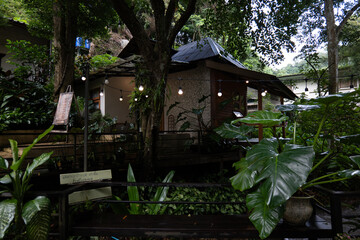 Nature at Mae Kampong, Chiang Mai during the rainy season: trees, streams, rain