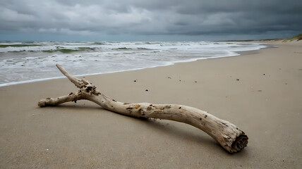 A curved driftwood stick on a sandy beach with seashells scattered around, overcast sky