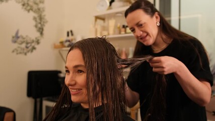 Smiling hair stylist working on female client in bright salon