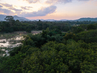 Fototapeta premium Aerial view green tropical rainforest tree mountain sunset colorful sky