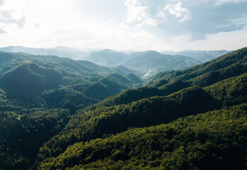 Fototapeta premium Majestic landscape of mountains covered with trees, aerial view