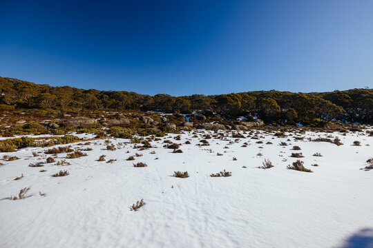Mt St Gwinear in Baw Baw Australia