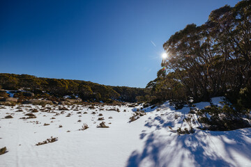 Mt St Gwinear in Baw Baw Australia