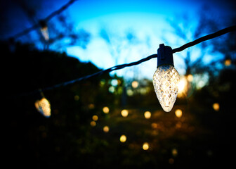 Christmas Lights in a Sunrise