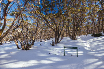 Phillack Saddle in Baw Baw Australia