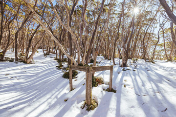 Mt St Phillack in Baw Baw Australia