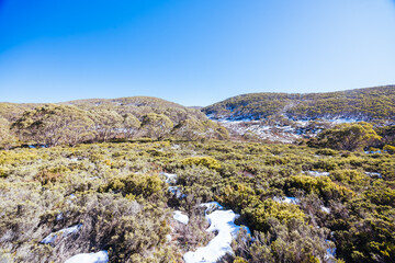 Mt St Gwinear in Baw Baw Australia