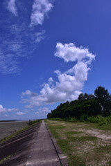 A vertical landscape shot of a long, gray concrete path or embankment running diagonally from the...