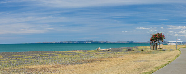 ニュージーランド　ホークスベイ地方のネイピア・ビーチの風景