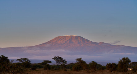 Fototapeta premium Sunlit Peak of Mount Kilimanjaro Rising Above Morning Clouds in Amboseli, Kenya