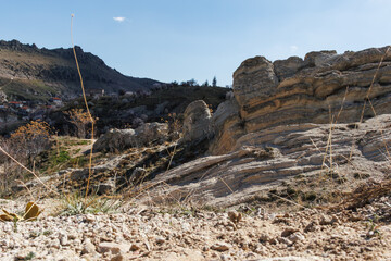 dried plants and geological rock formations near a village under blue sky in Konya