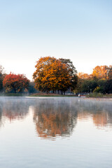 autumn foggy morning in warsaw park at dawn
