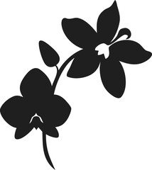 Fototapeta premium Simple Black and White Silhouette Orchid Flower Branch Illustration Art