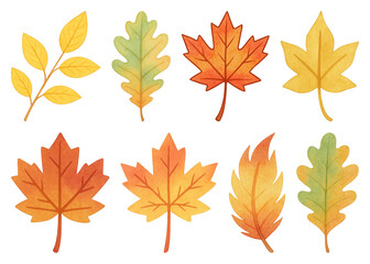 Obraz premium PNG Colorful autumn leaves illustration, element set on transparent background