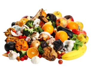 Pile of rotting moldy food scraps including fruits, vegetables and bread on transparent background for composting and waste concepts.