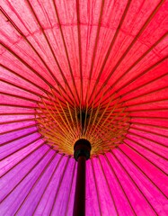 Vibrant umbrella's radiant hues